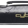 30701-cyber-standard-must